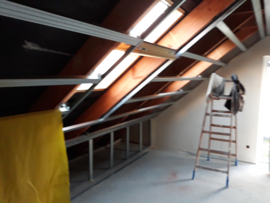 Zdjęcie do wpisu: Ariel :)